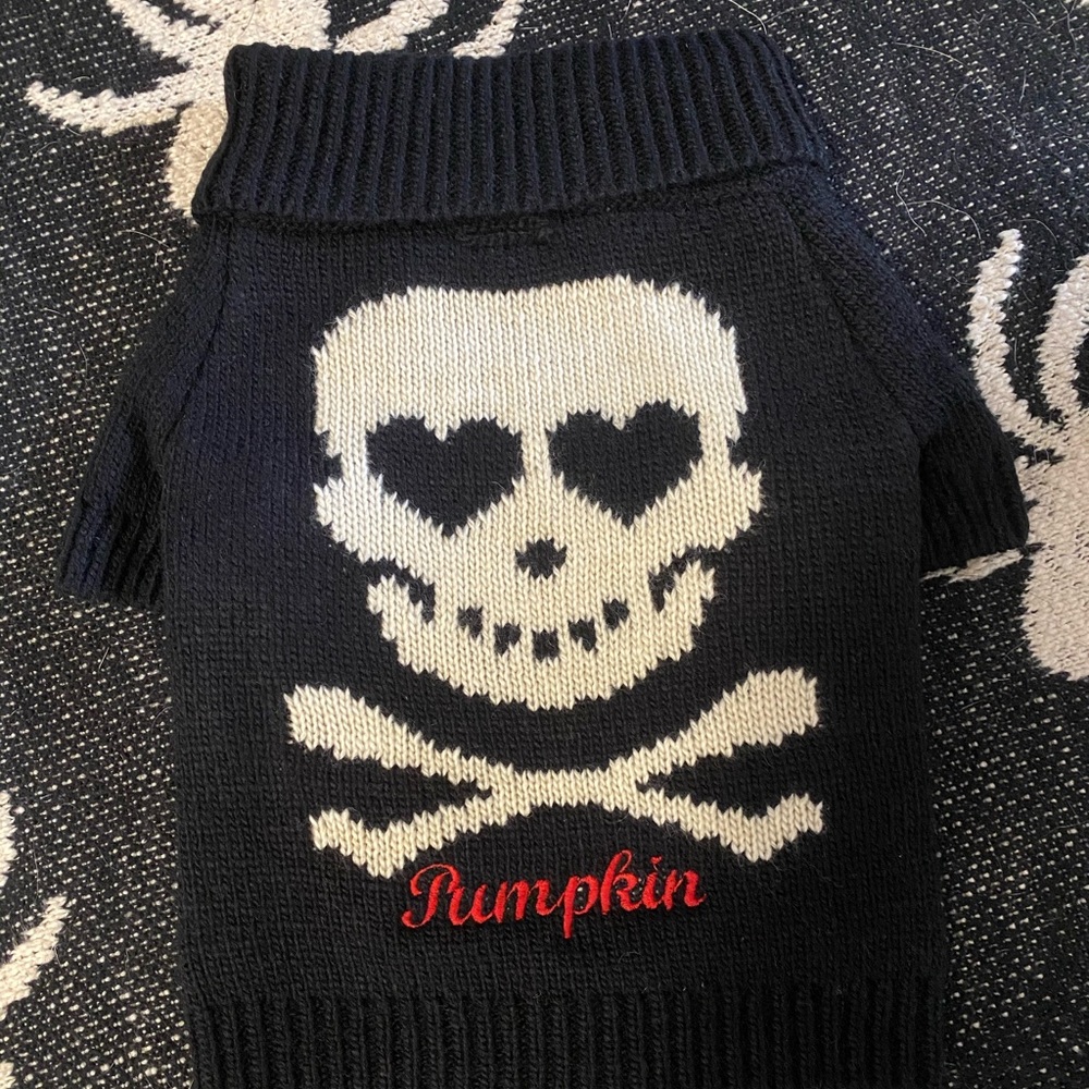 Adorable gothic dog sweater